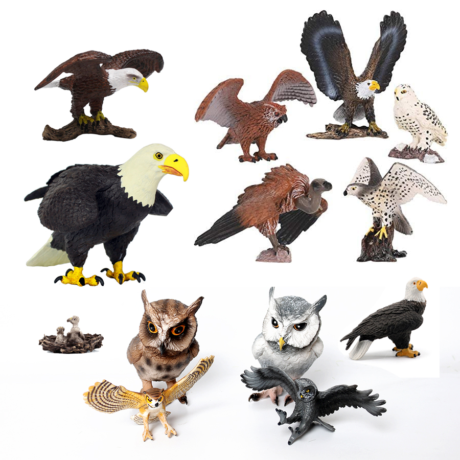 Kids Education Shows - 子供のために有名なプラスチックの鳥、ハクアグルイ、ルノーコン、ホーク、フクロウ、漏えい、動物モデル、教育セット