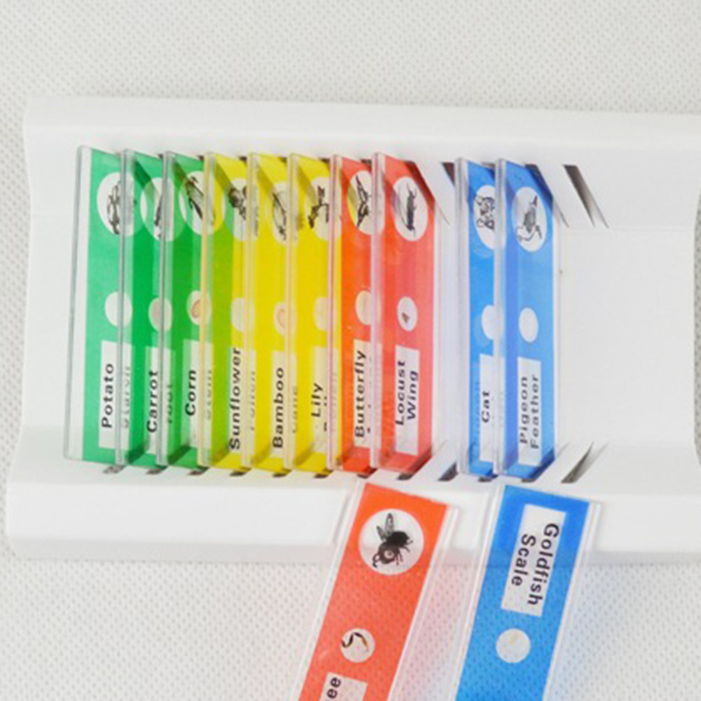 Kids Education Level - 12枚入りプラスチック製顕微鏡スライド、準備済みサンプル、子供や初心者にも安全、カラフルなラベル付き、教育用
