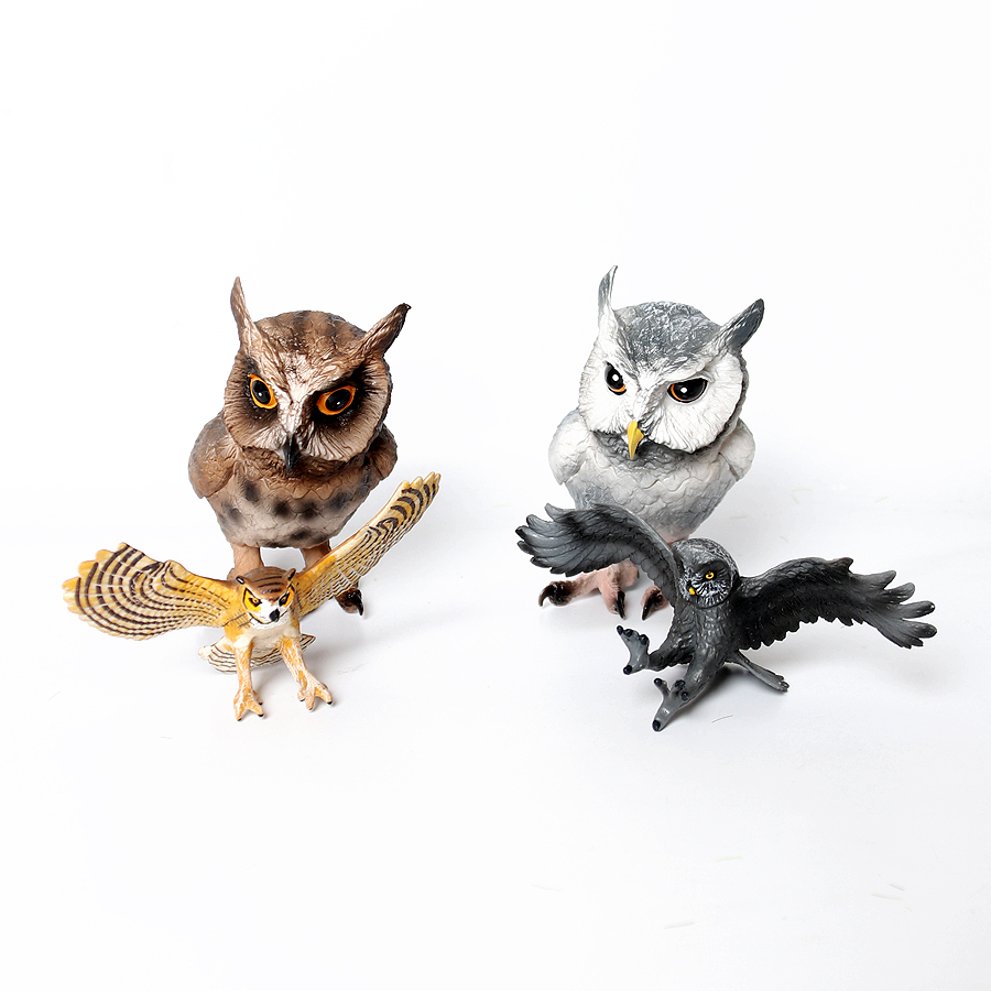 子供のために有名なプラスチックの鳥、ハクアグルイ、ルノーコン - Kids Education Shows のレビューと価格