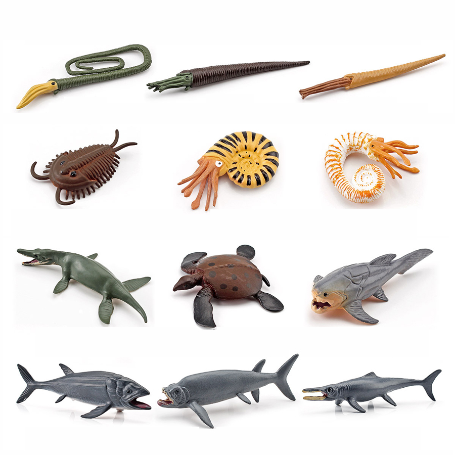 12個入りリアルなミニ古代海洋動物モデルフィギュア、先史時代 - Kids Education Shows のレビューと価格