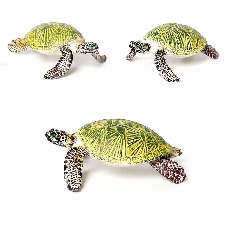 リアルなプラスチックウミガメリアルなカメ海洋動物小さなカメの - Kids Education Shows のレビューと価格