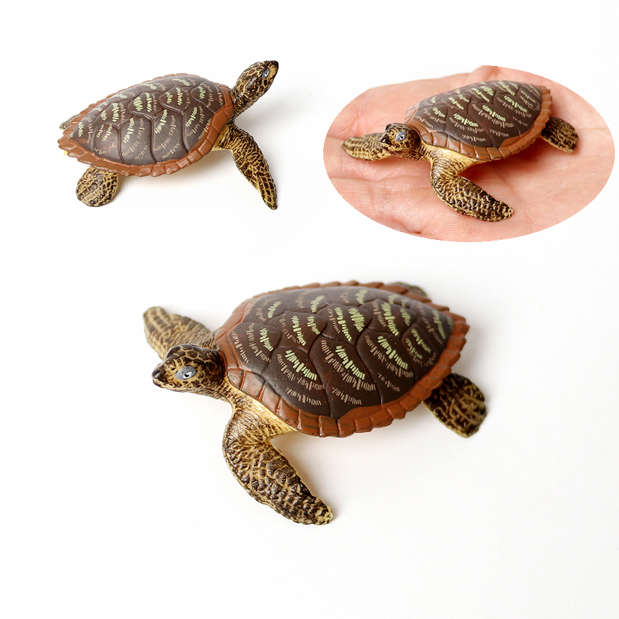 リアルなプラスチックウミガメリアルなカメ海洋動物小さなカメの - Kids Education Shows のレビューと価格