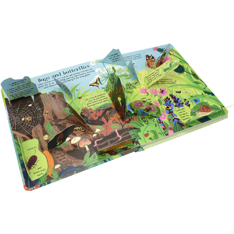 モンテッソーリ英語3D Usborne ナチュラルズ・インサ - Kids Nature Education のレビューと価格