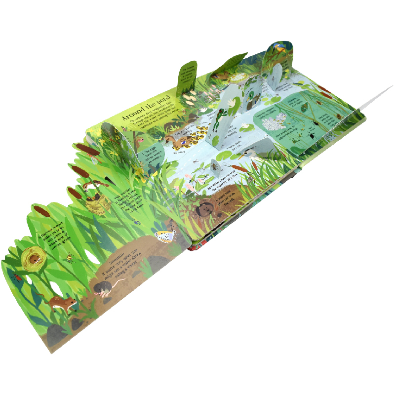 モンテッソーリ英語3D Usborne ナチュラルズ・インサ - Kids Nature Education のレビューと価格