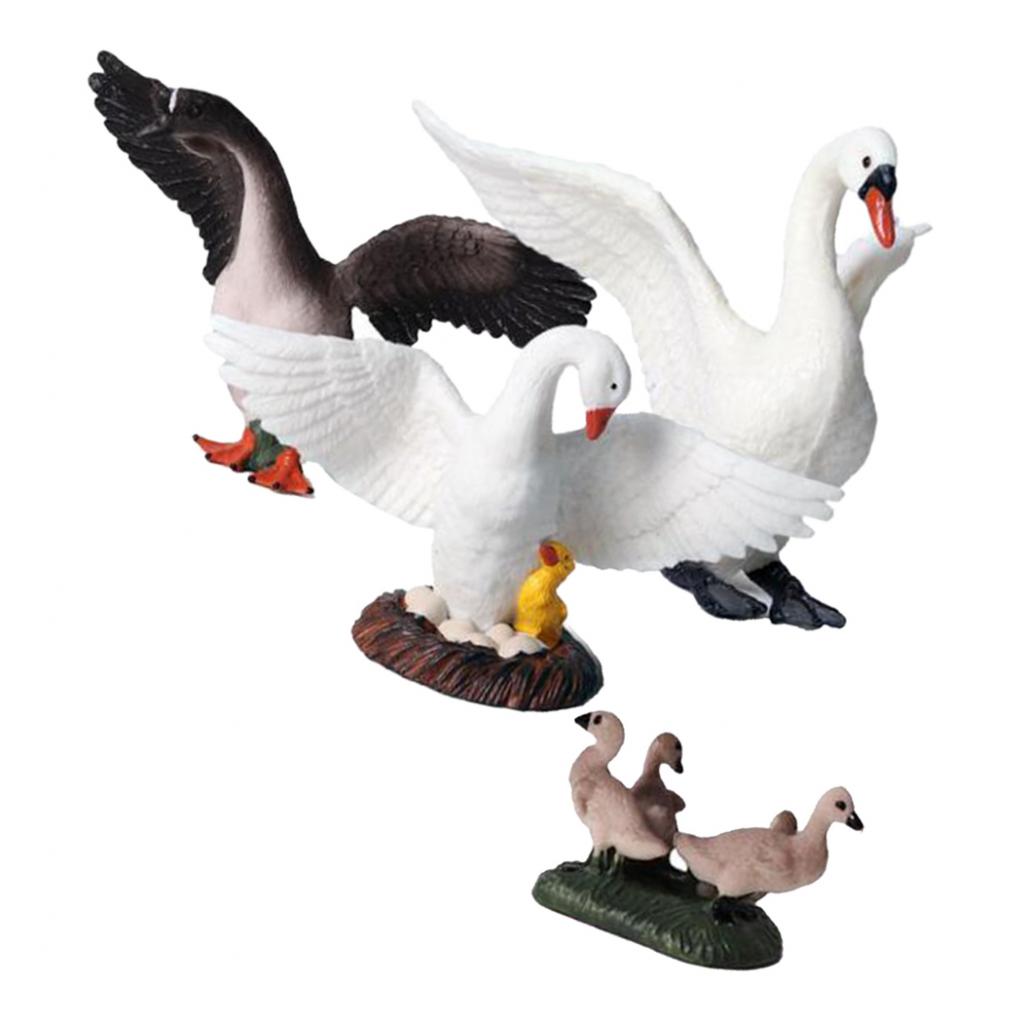 リアルな白鳥の置物、本物そっくりの動物デスクトップ装飾、教育 - Kids Education Shows のレビューと価格
