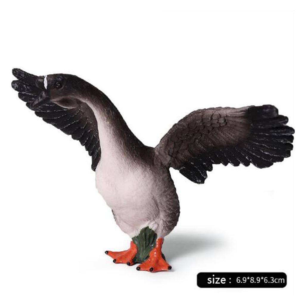 リアルな白鳥の置物、本物そっくりの動物デスクトップ装飾、教育 - Kids Education Shows のレビューと価格