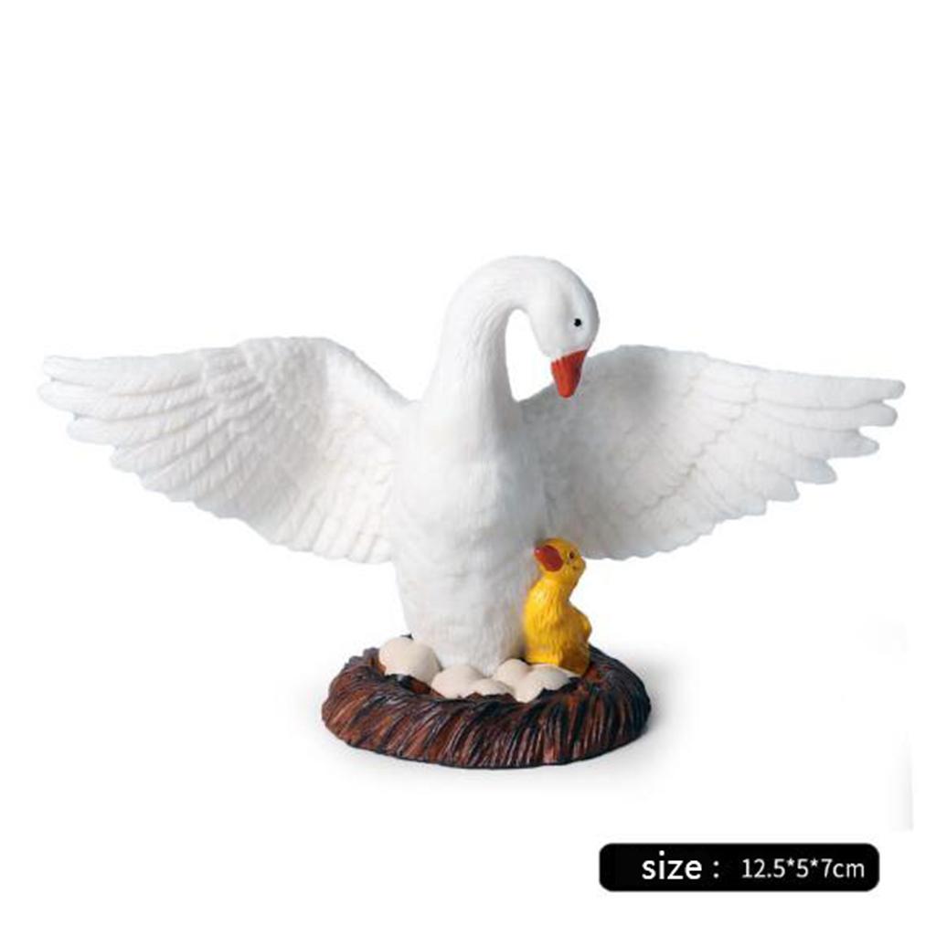 リアルな白鳥の置物、本物そっくりの動物デスクトップ装飾、教育 - Kids Education Shows のレビューと価格