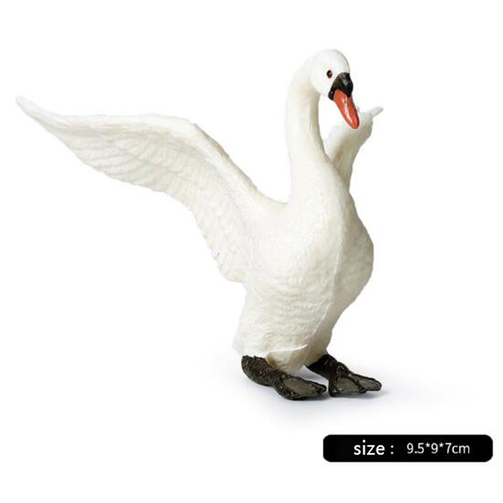 リアルな白鳥の置物、本物そっくりの動物デスクトップ装飾、教育 - Kids Education Shows のレビューと価格